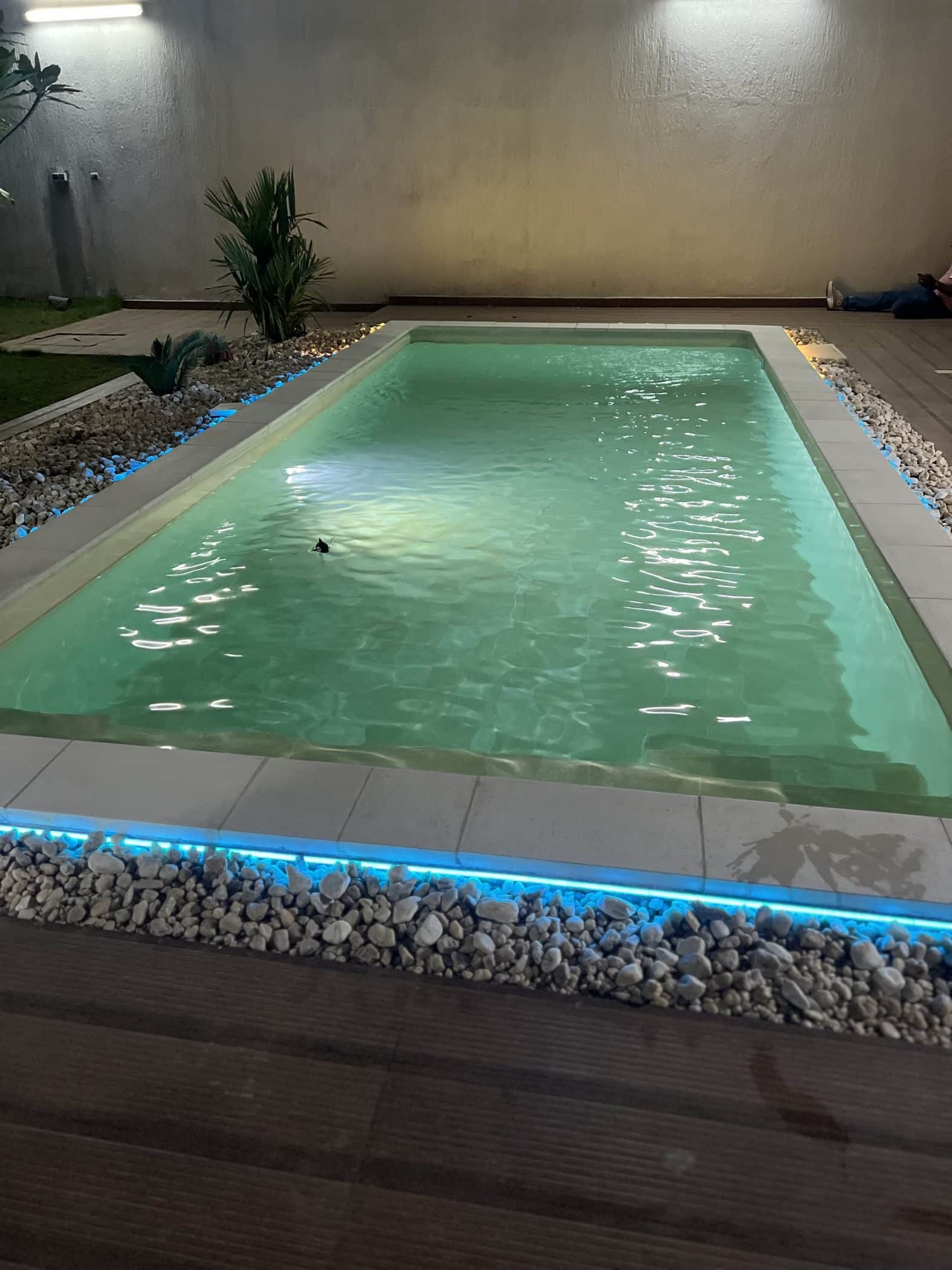 PHOTO PISCINE BLUE GARDEN 5.jpg